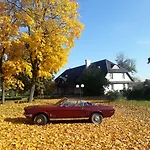 Dwor Strzyzew