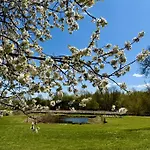 Bed & Breakfast Dwor Strzyzew Zelazowa Wola