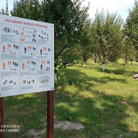 Dwor Strzyzew