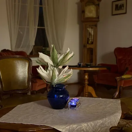 Bed & Breakfast Dwor Strzyzew Zelazowa Wola