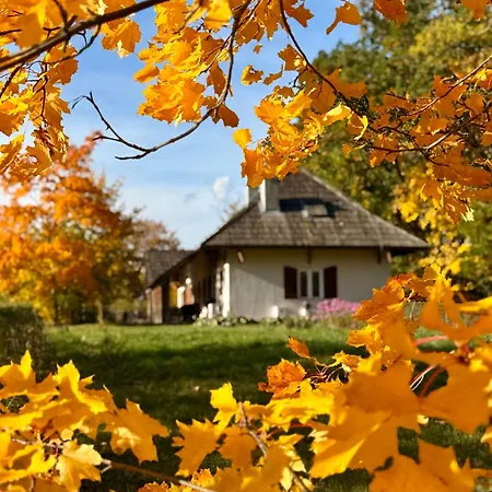 Dwor Strzyzew Bed & Breakfast