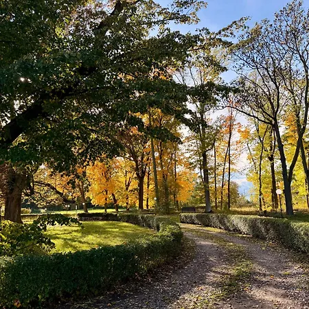 B&B Dwor Strzyzew Zelazowa Wola