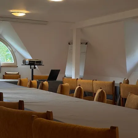 Dwor Strzyzew 3* Zelazowa Wola