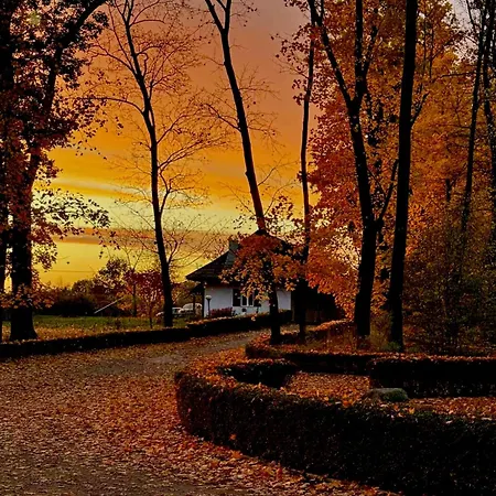 Dwór Strzyżew 3* Zelazowa Wola