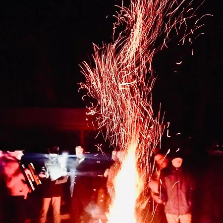 Dwor Strzyzew 3* Zelazowa Wola