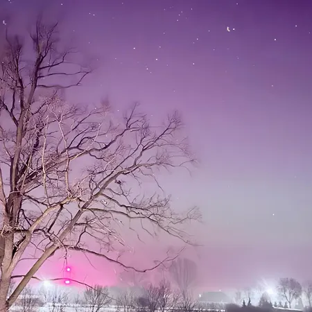 Bed & Breakfast Dwor Strzyzew 3*